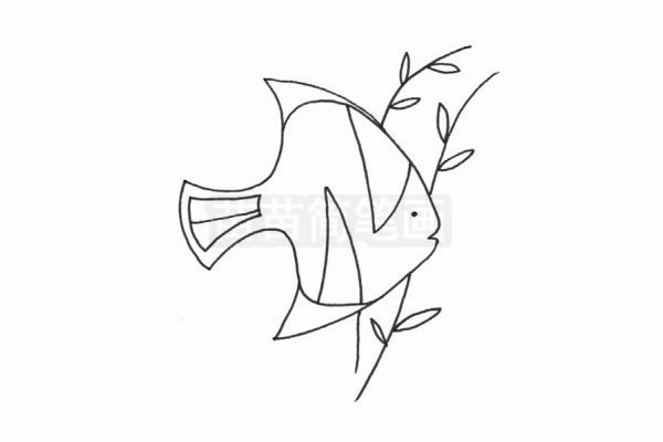 黄鳍鲳简笔画图片步骤四