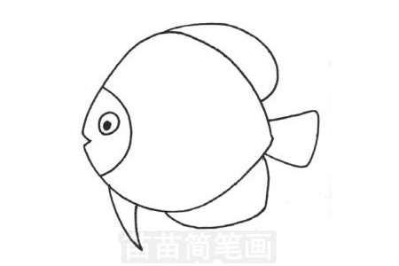热带鱼简笔画图片步骤三