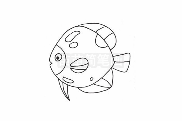 热带鱼简笔画图片步骤四
