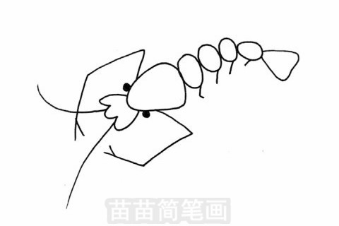 小虾简笔画图片教程