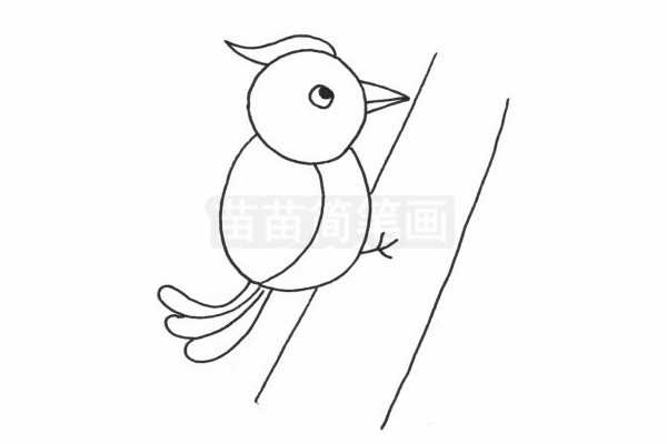 啄木鸟简笔画图片步骤四