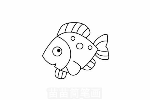 热带鱼简笔画图片教程
