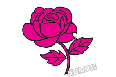 玫瑰简笔画图片教程, 如何绘制漂亮的玫瑰花